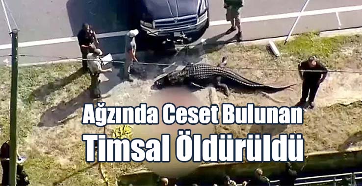 Ağzında Ceset Bulunan Timsal Öldürüldü