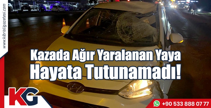 Kazada Ağır Yaralanan Yaya, Hayata Tutunamadı!