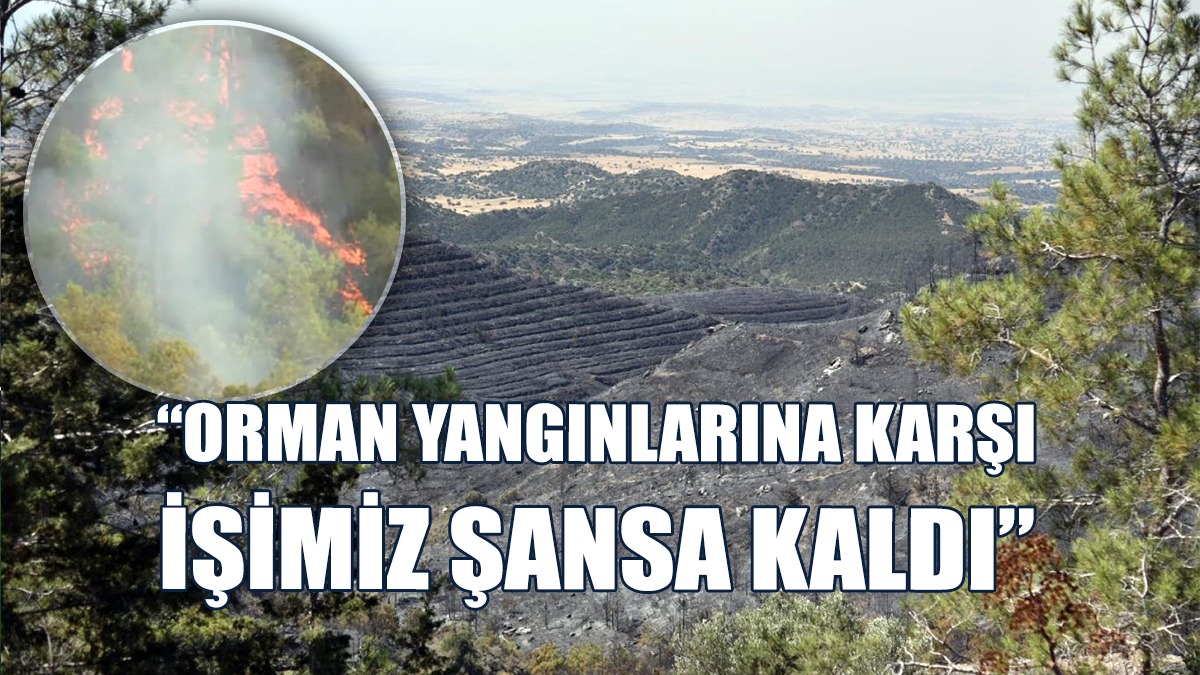 "Orman Yangınlarını Oluruna Bırakarak Sırtımızı Dönme Lüksümüz Yok”