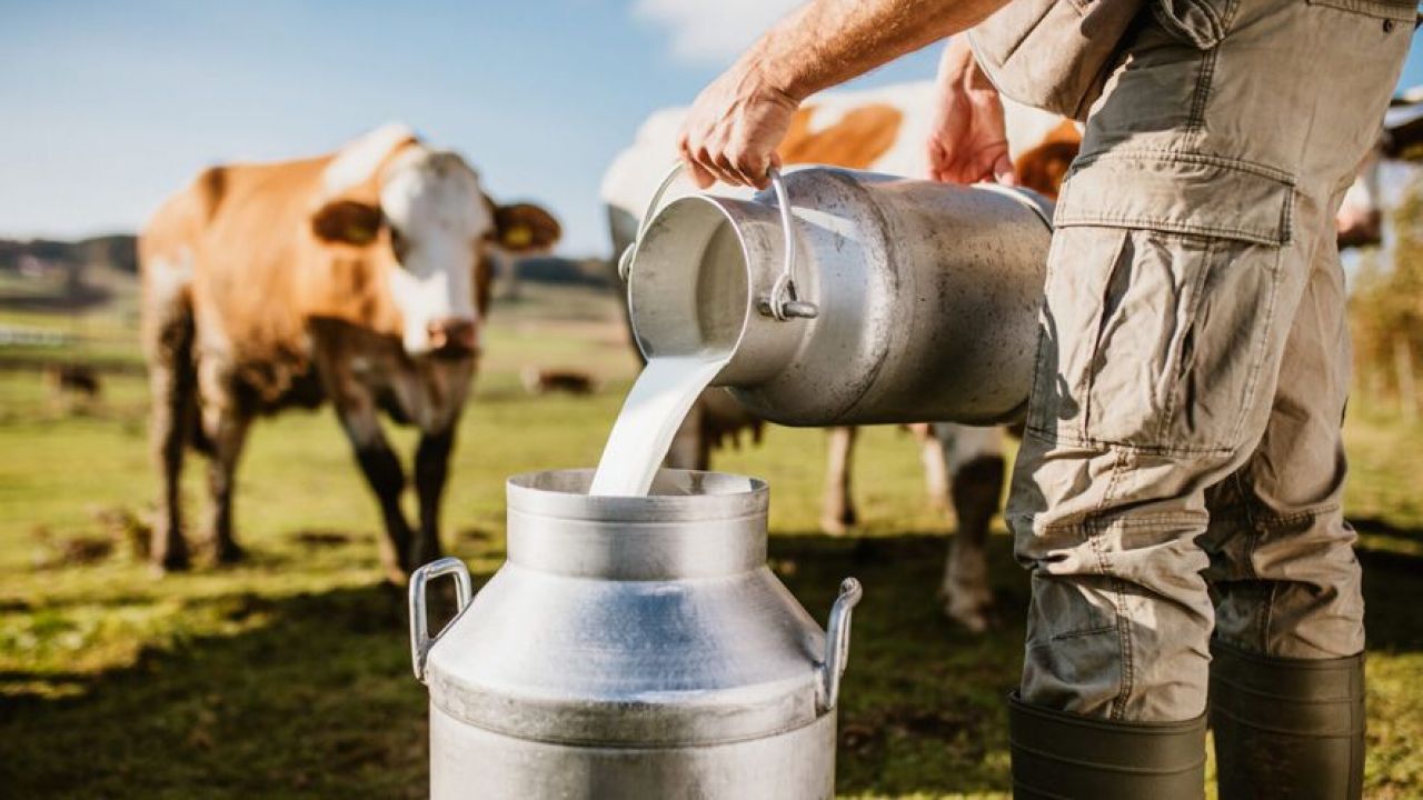“Üretim maliyetleri sürdürülemez bir seviyeye geldi”