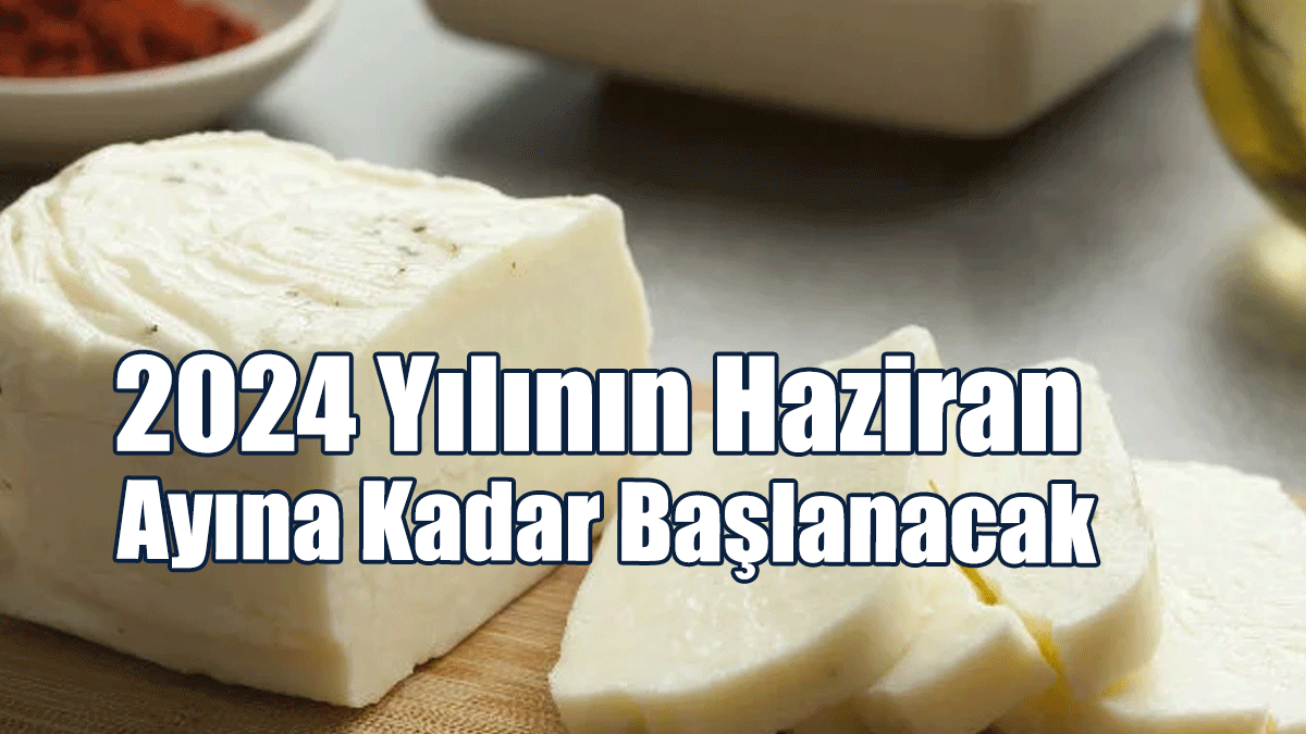 Komisyon Kıbrıs Türk Helliminin Yeşil Hat’tan Geçmesini Hedefliyor
