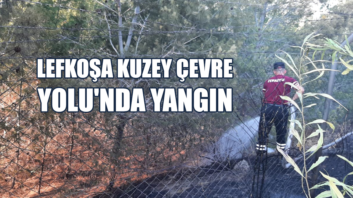 Yangın Büyümeden Söndürüldü