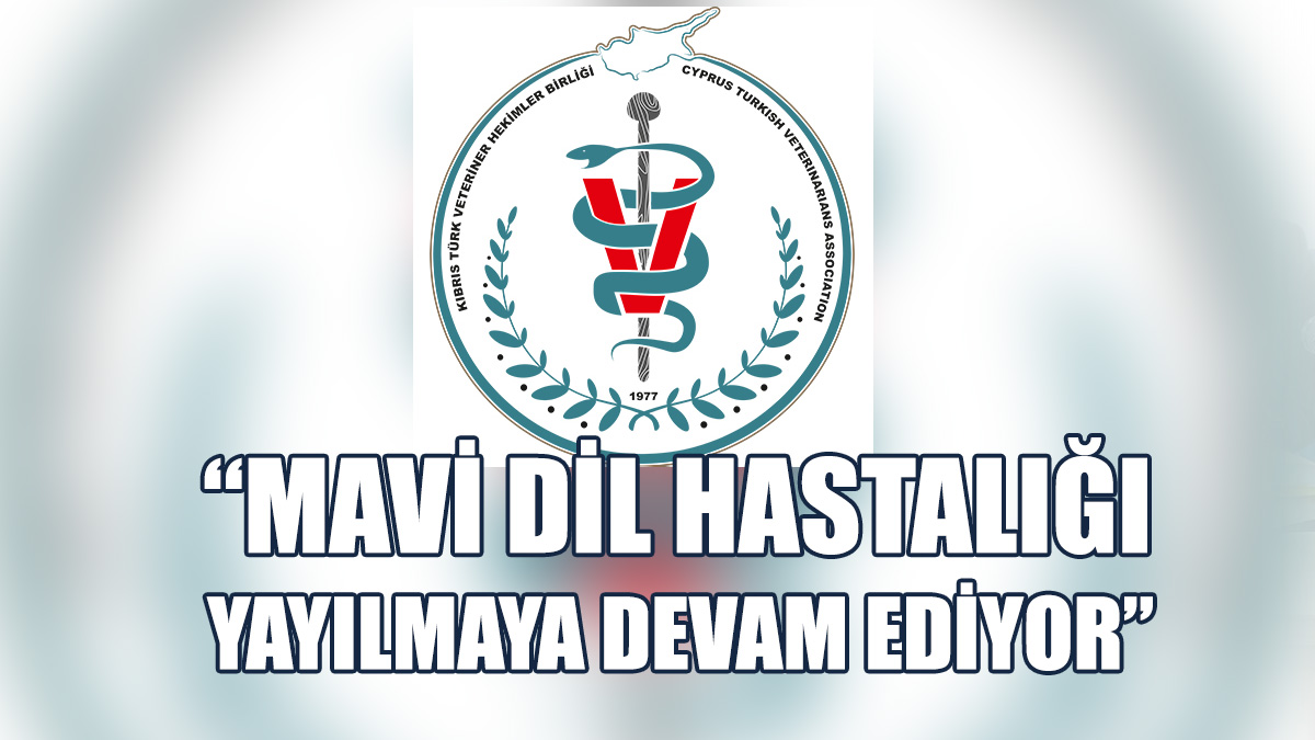 Toksoy: Hastalık Et Ve Süt Tüketmekle İnsana Geçmez