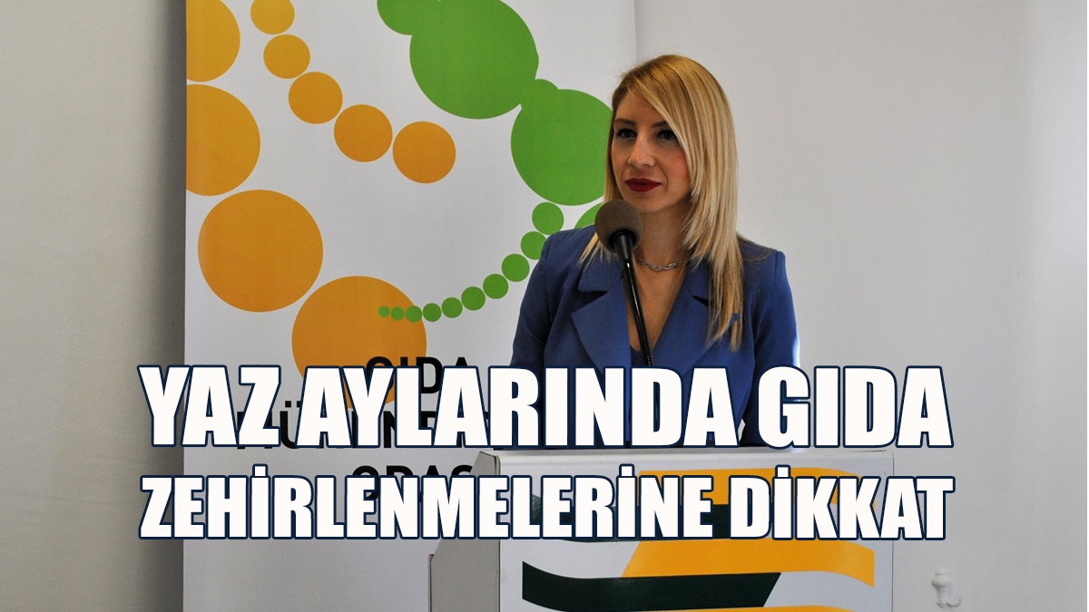 “Dondurulmuş Gıdaları Doğru Şekilde Çözdürün”