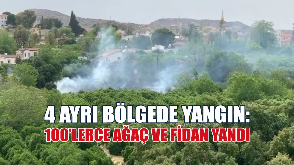 Serdarlı, Güzelyurt, Lefke ve İskele’de Yangın...