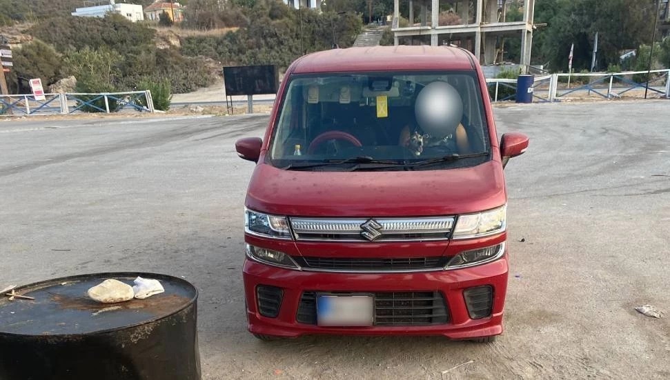 Kaplumbağa yavrularını tehlikeye attı, polise şikâyet edildi