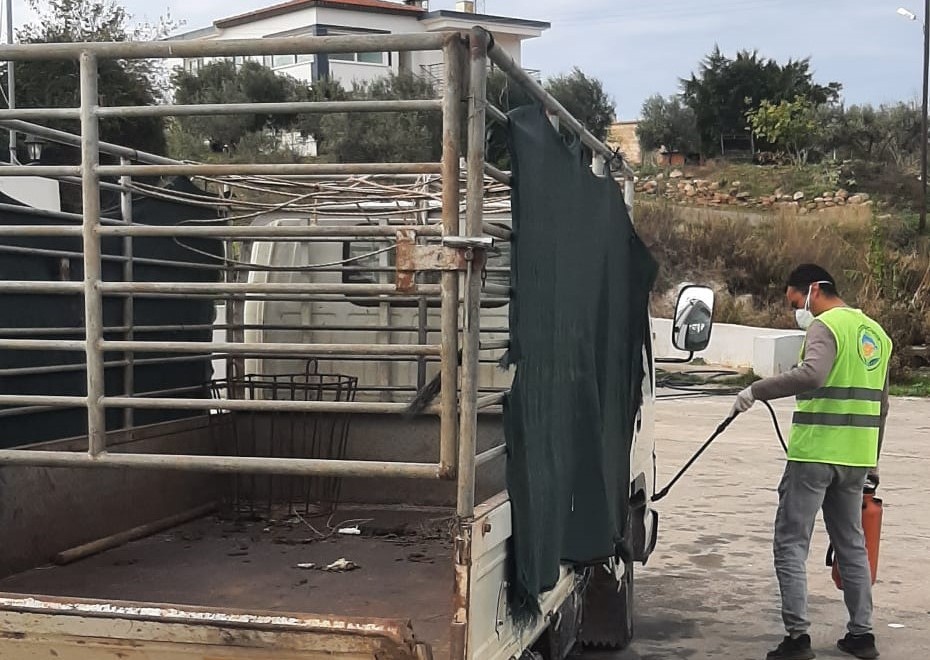 Şap hastalığına karşı önlemler Karpaz’da da hayata geçirildi
