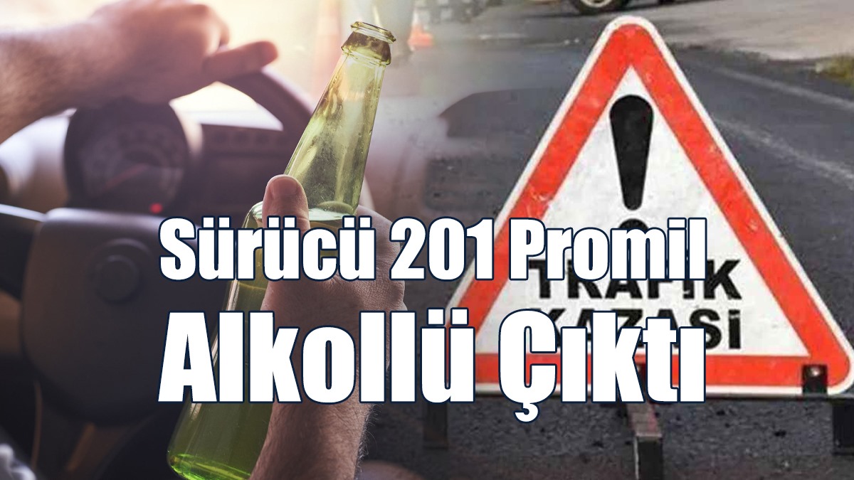 Bahçe Korkuluklarına, Tellerine Ve Badem Ağacına Çarptı