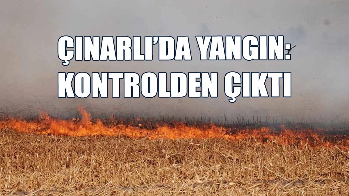 Çınarlı’da Büyük Yangın!
