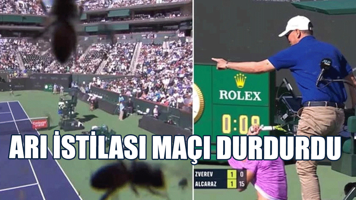 Arı İstilası Maçı Durdurdu