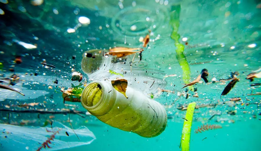 En tepeden en dibe kadar sızdı: Dünya plastiğe boğuldu