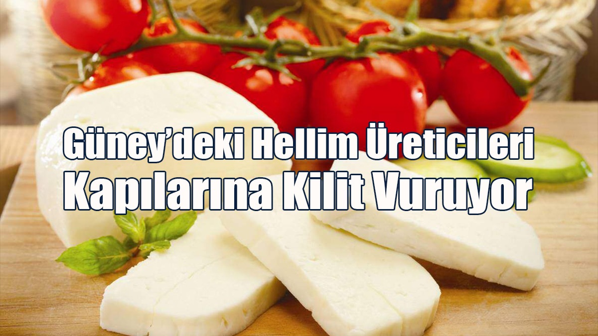 Güney’deki Hellim Üreticileri Kapılarına Kilit Vuruyor