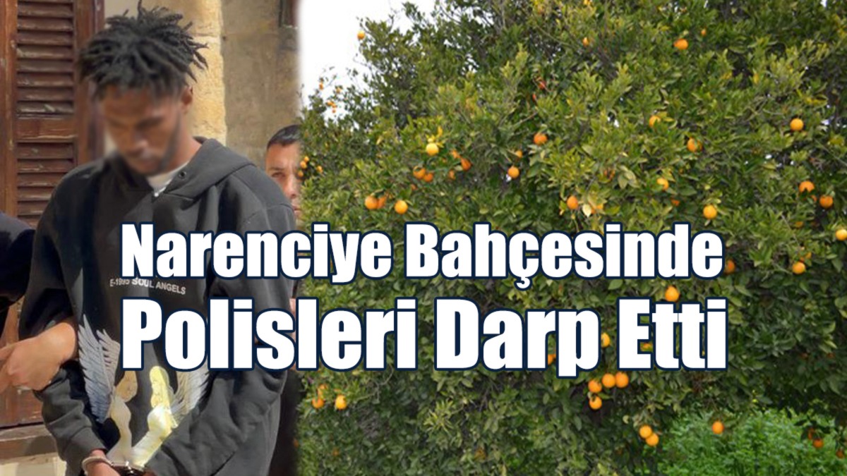 Narenciye Bahçesinde Polisleri Darp Etti