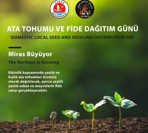 Girne’de “Ata tohumu” dağıtılacak…
