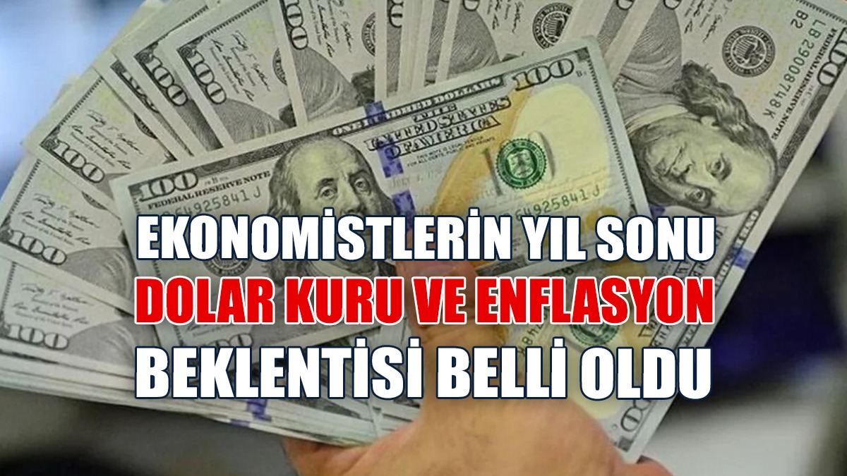 Ekonomistlerin Yıl Sonu Dolar Kuru Ve Enflasyon Beklentisi Belli Oldu