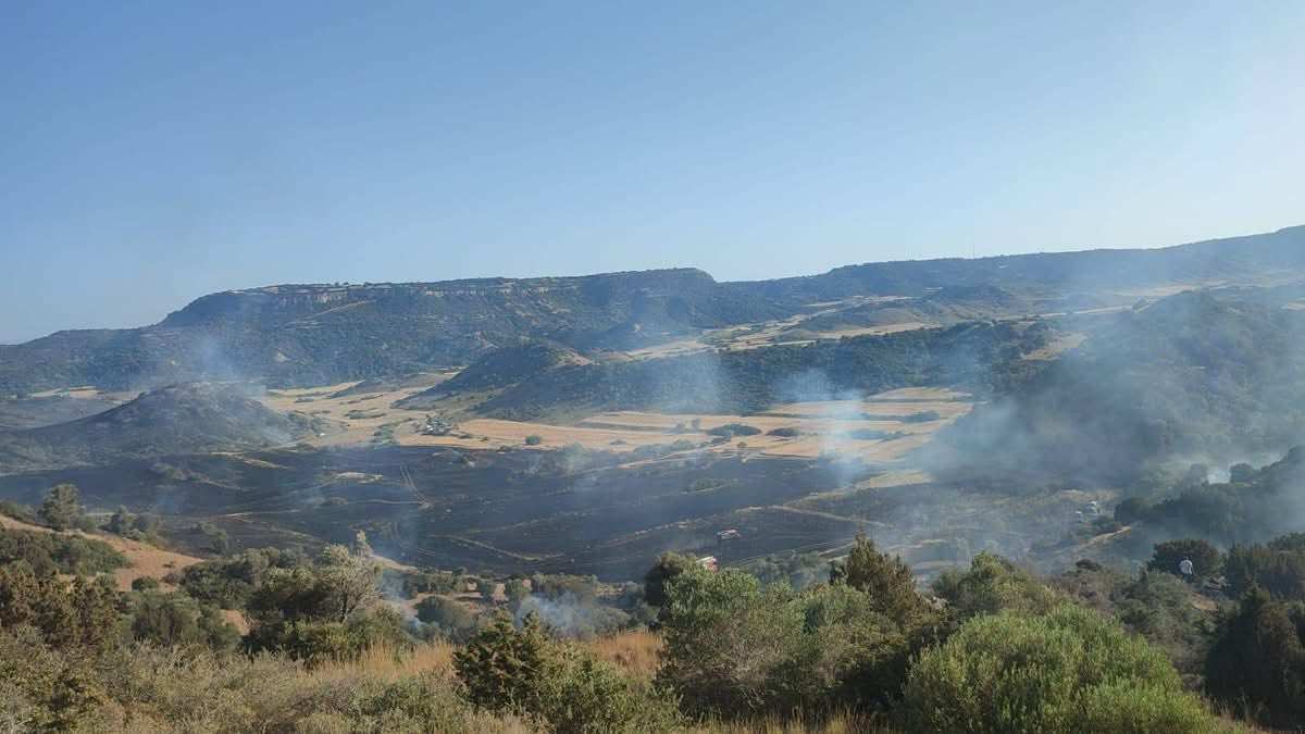 Avtepe - Kuruova arasındaki yangın tamamen söndürüldü