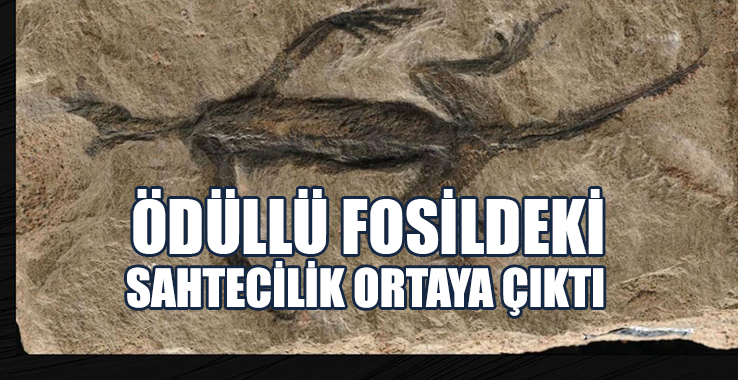 100 Yıl Önce Keşfedilmişti: Sahtecilik Ortaya Çıktı