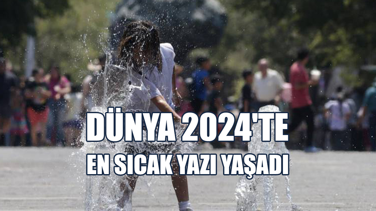Dünya 2024'te En Sıcak Yazı Yaşadı