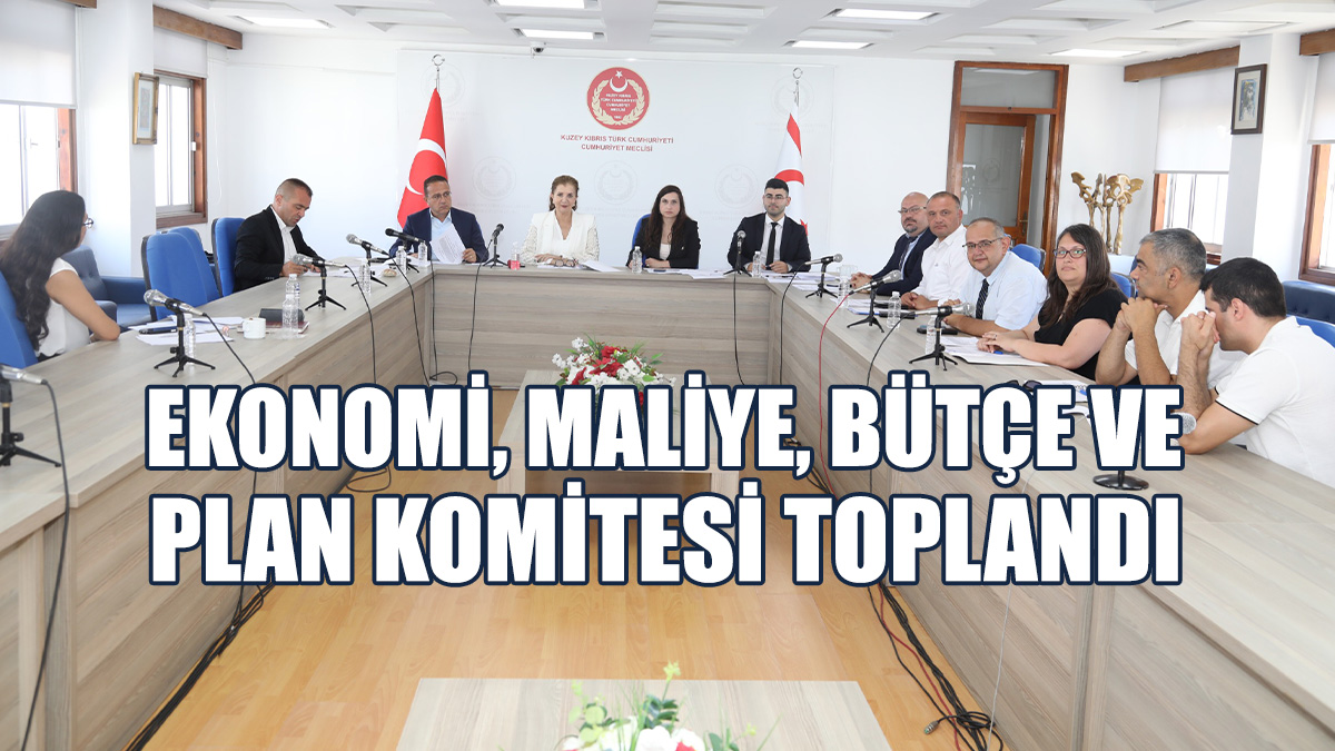 Yayın Yüksek Kurulu 2024 Mali Yılı Ek Bütçe Yasa Tasarısı Görüşüldü