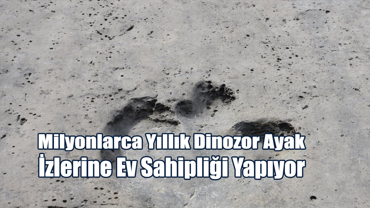 Türkmenistan Milyonlarca Yıllık Dinozor Ayak İzlerine Ev Sahipliği Yapıyor