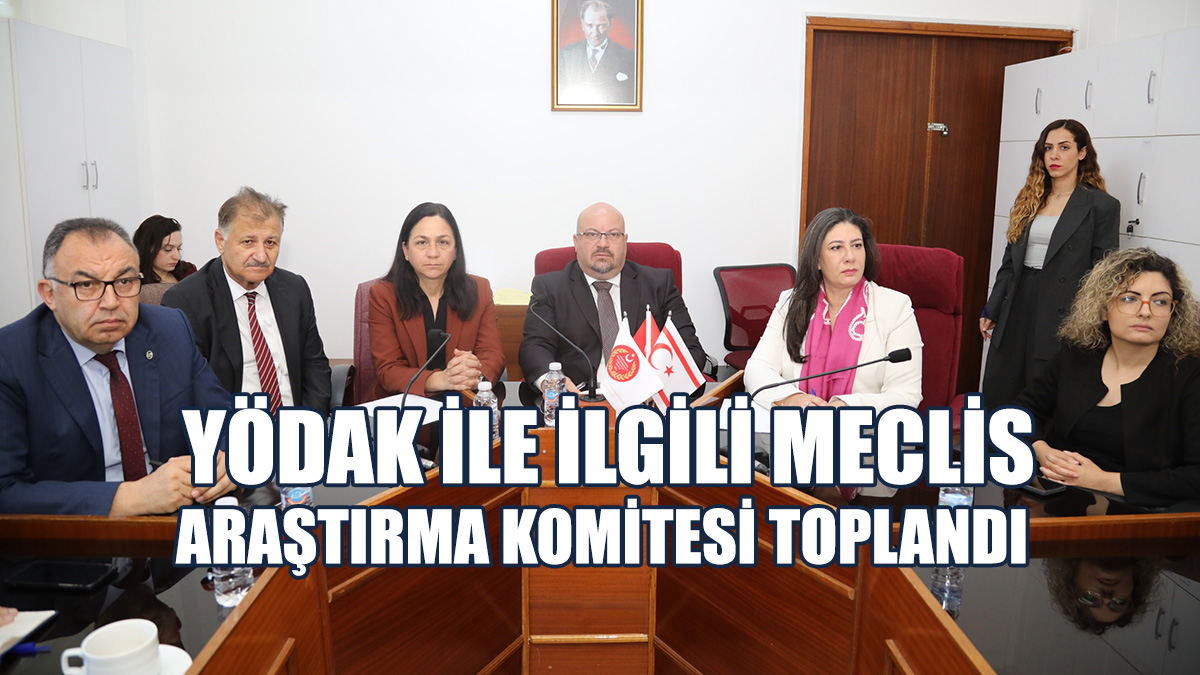 Komite, Çalışmalarına Önümüzdeki Toplantılarında Devam Edecek