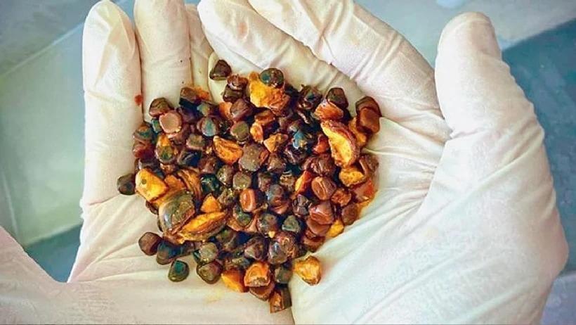 İneklerin safra taşının fiyatı altını solladı!