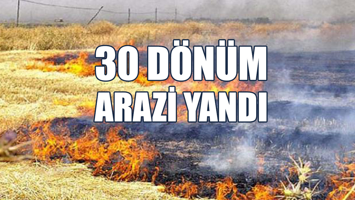 Yıldırım Düşmesi Sonucu Yangın Meydana Geldi