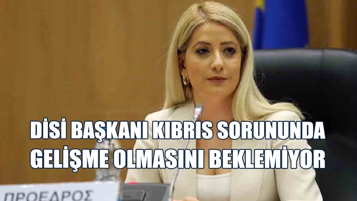 Dimitriu, Kıbrıs Sorununda Gelişme Olmasını Beklemiyor