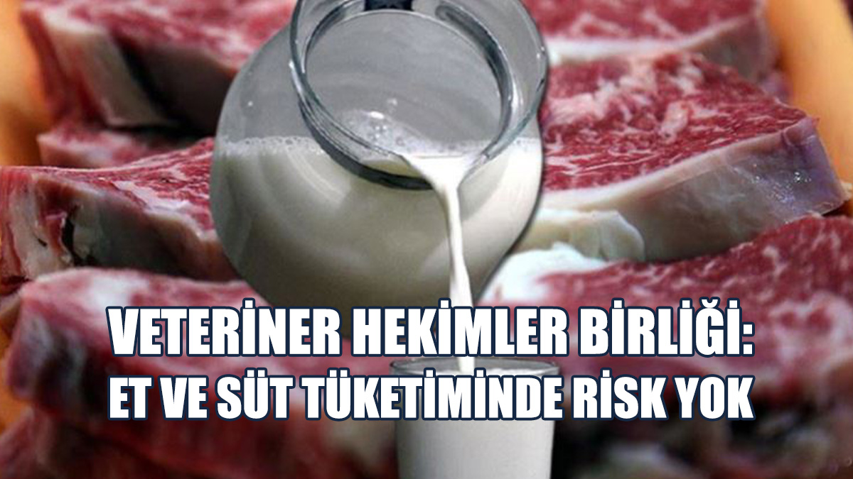 Veteriner Hekimler Birliği’nden Mavi Dil Hastalığı Hakkında Açıklama