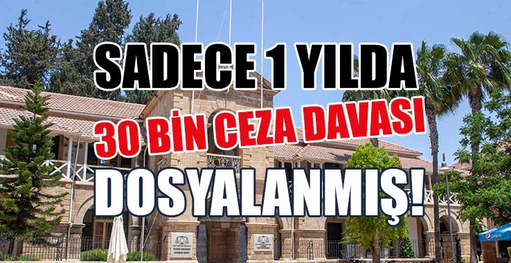 Meclis’te Açıklandı: 1 Yılda 30 Bin Ceza Davası
