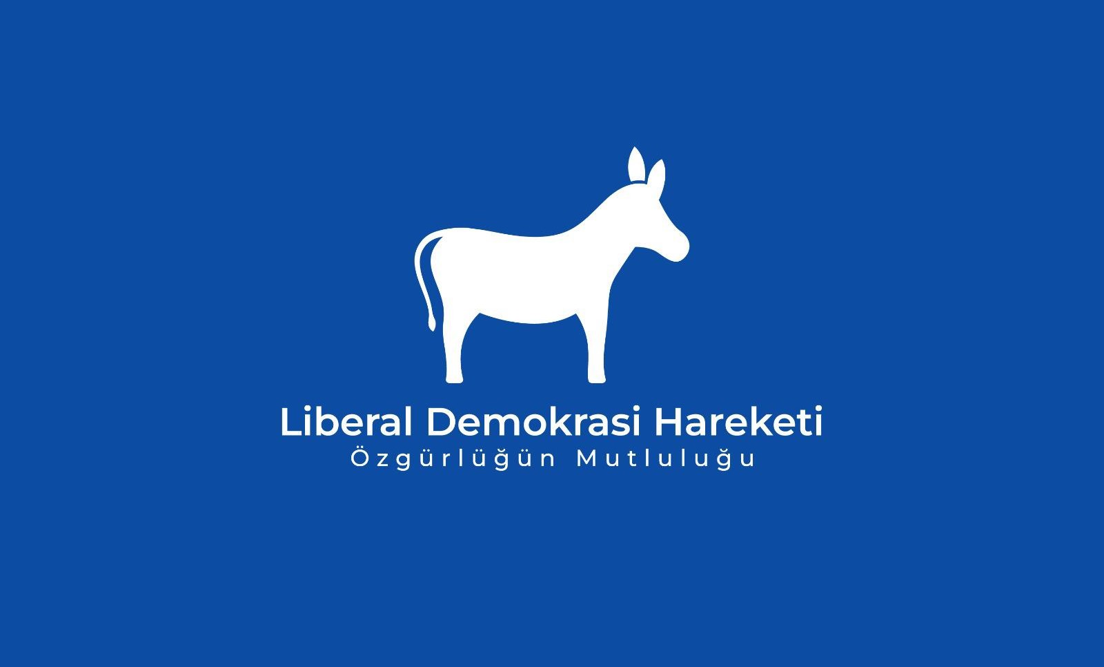 Liberal Demokrasi Hareketi: T izni ayrıcalık değil, eşit ve açık bir standart olmalı