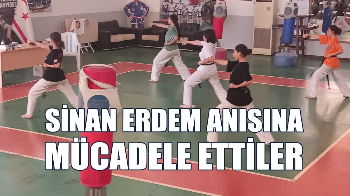 Sinan Erdem Kupası Taekwondo Şampiyonası Yapıldı