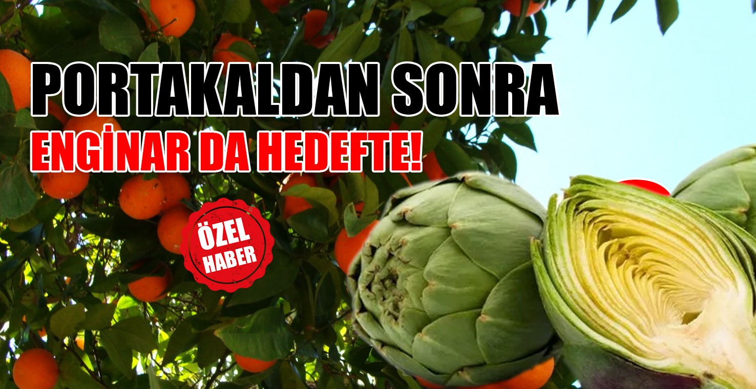 Enginarın Türkiye’ye İhracatına da mı Yasak Geliyor?