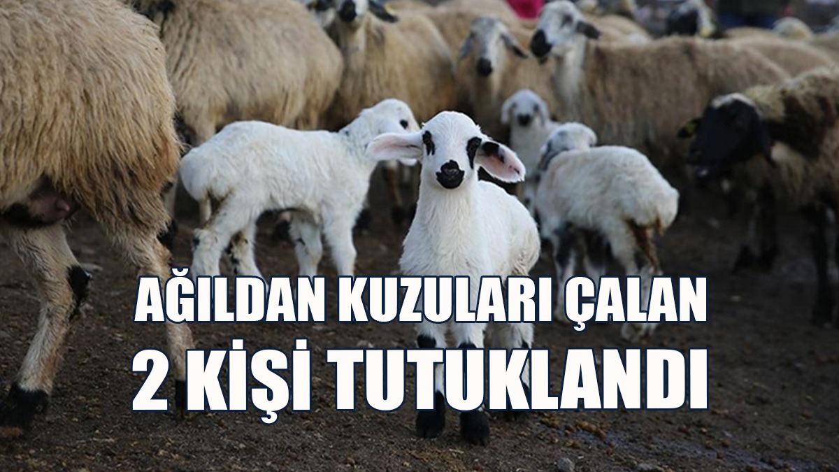 Akıncılar'da Hırsızlık...