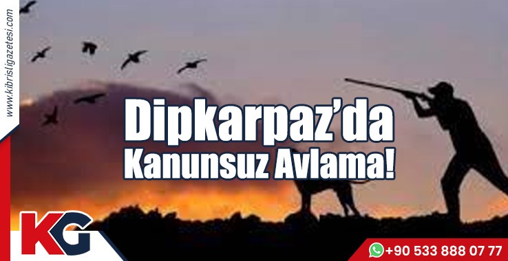 Dipkarpaz’da Kanunsuz Avlama!