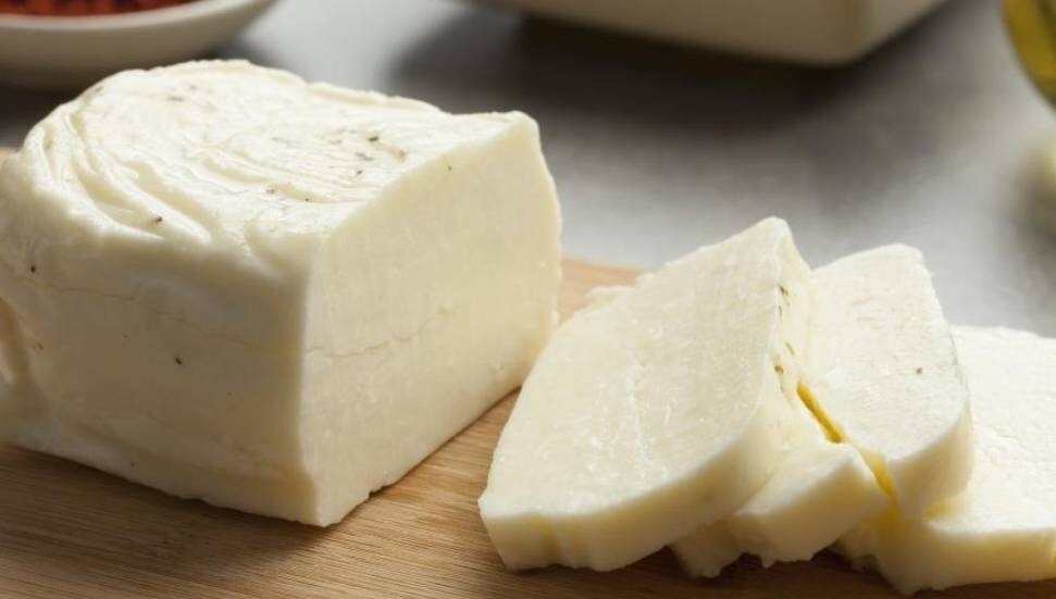 Güney’de Mercosur anlaşmasına ilişkin tartışmalar büyüyor