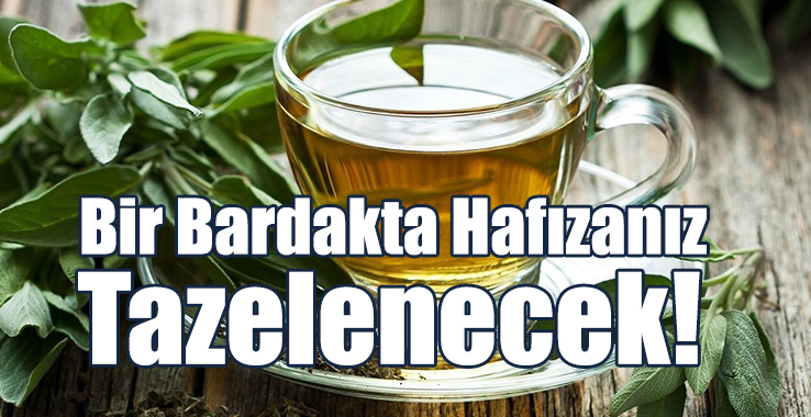 Dr. Ender Saraç'tan Hafıza Güçlendiren Çay Tarifi