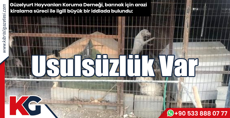 “Barınak İçin Arazi Kiralama Sürecinde Usulsüzlük Var”