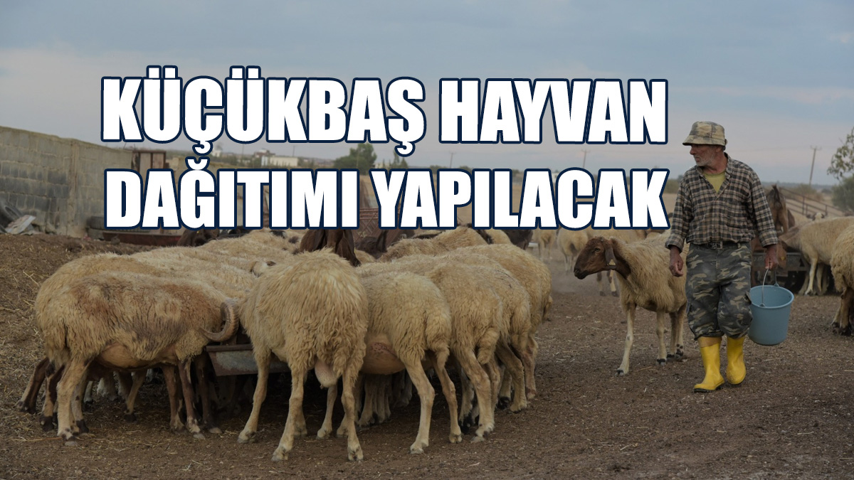 Program Kapsamında 340 Adet Hayvan Dağıtımı Yapılacak