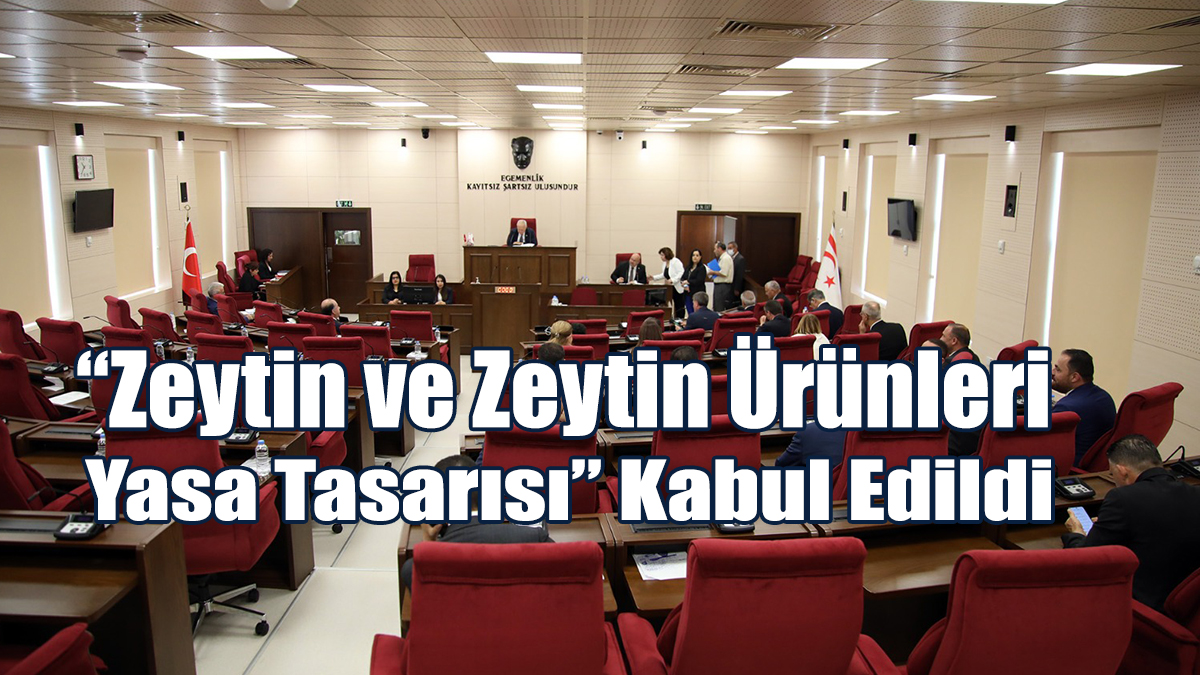 “Zeytin ve Zeytin Ürünleri Yasa Tasarısı” Kabul Edildi