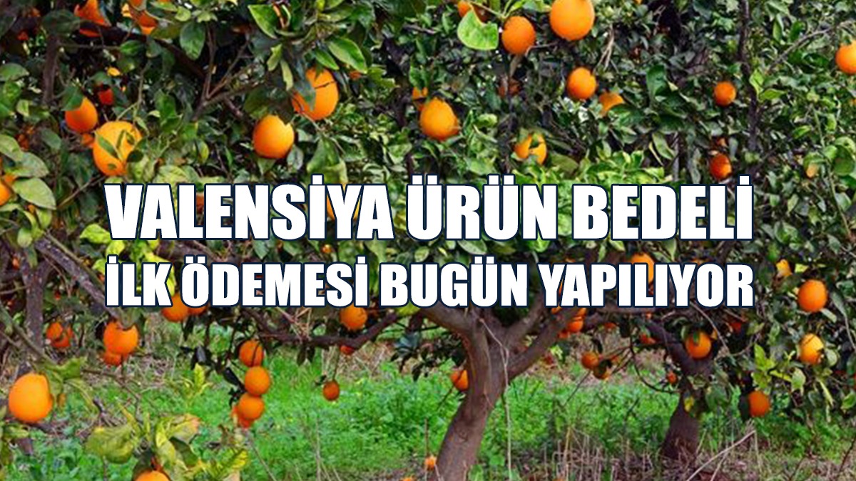 701 Üreticiye 171 Milyon 272 Bin 264 TL Ödeme Gerçekleştirilecek