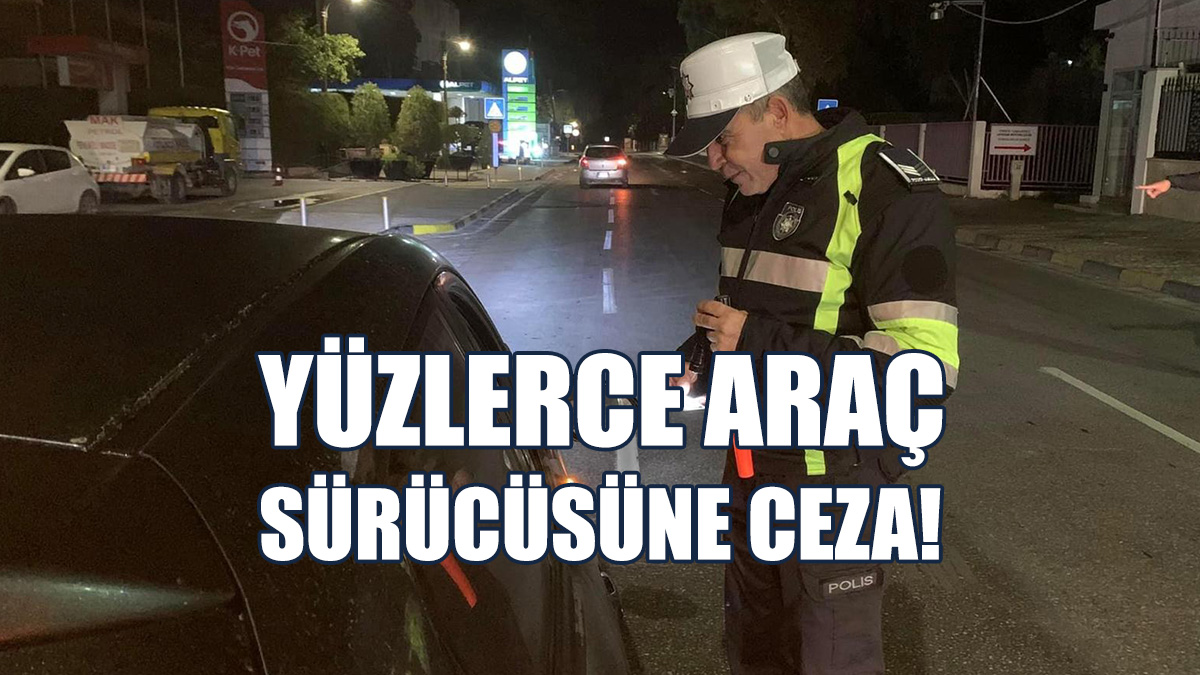 Bin 461 Araç Sürücüsü Ceza Aldı, 165 Araç Trafikten Men Edildi