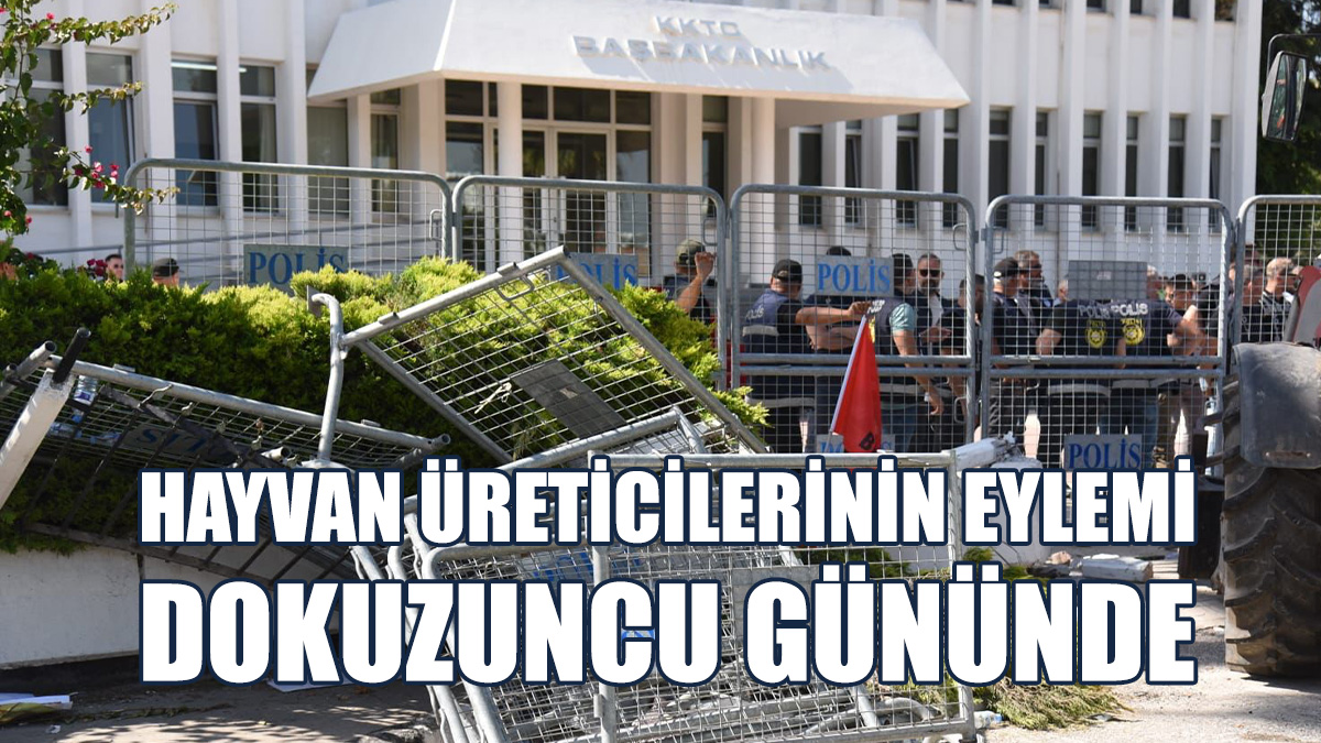 Eylemciler, Başbakanlık Önünde Toplanmaya Başladı