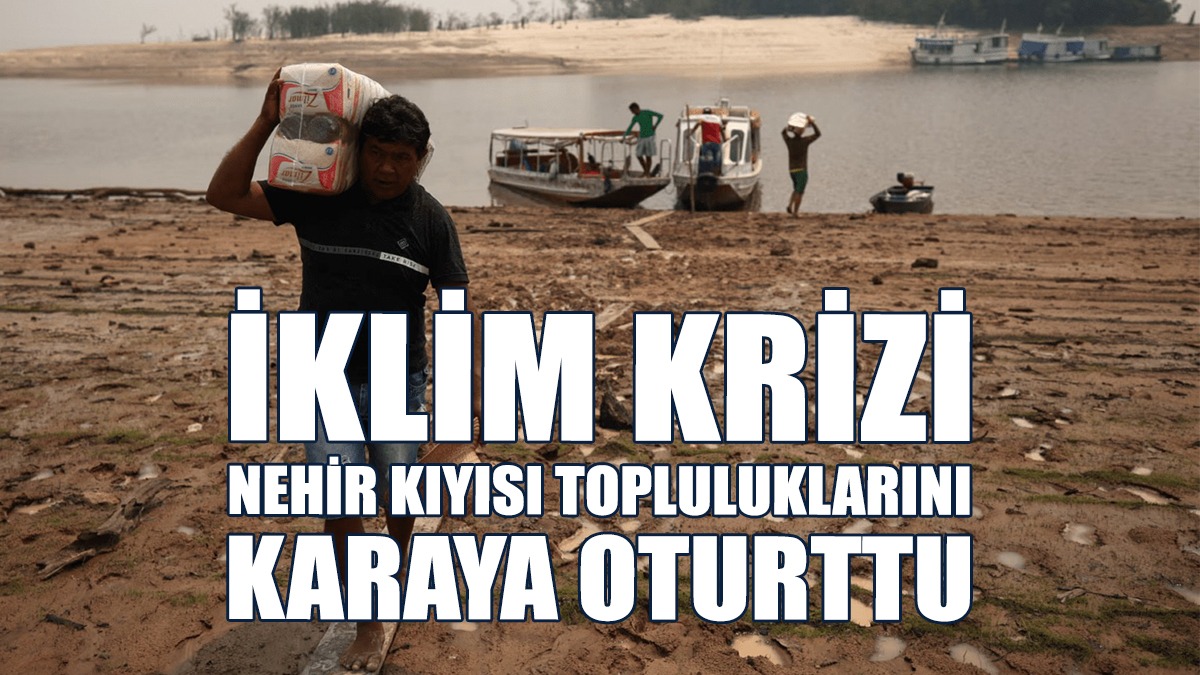 Ormanlar Bozluyor, Nehirler ve Balıklar Ölüyor