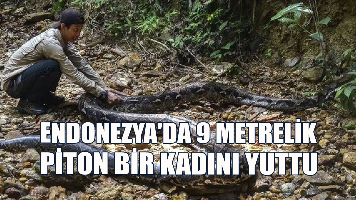 Son 24 Günde Piton Tarafından Yutularak Hayatını Kaybeden İkinci Kişi