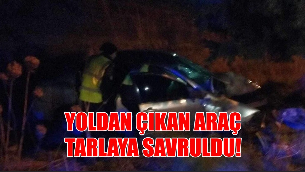 YOLDAN ÇIKAN ARAÇ TARLAYA SAVRULDU
