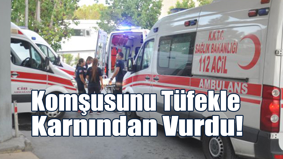 Konuşmaya Gelen Komşusunu Hava Tüfeğiyle Karnından Vurdu!