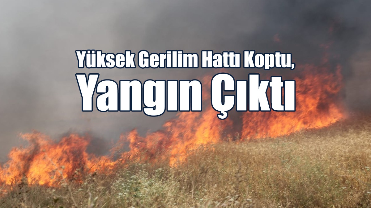 Yüksek Gerilim Hattı Koptu, Yangın Çıktı