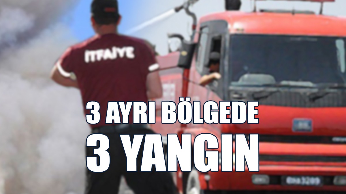 Horoz Yanarak Telef Oldu