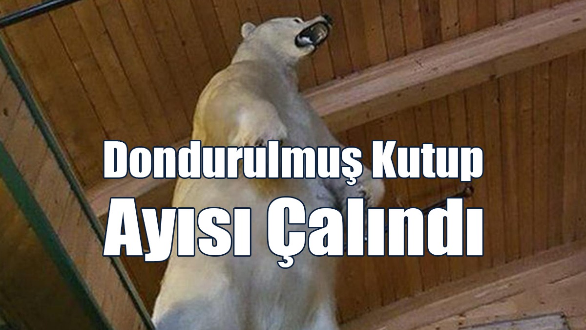 Kanada'da Tuhaf Soygun